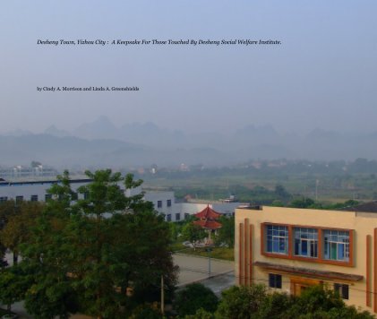 Desheng Town, Yizhou City : A Keepsake For Those Touched By Desheng Social Welfare Institute. book cover