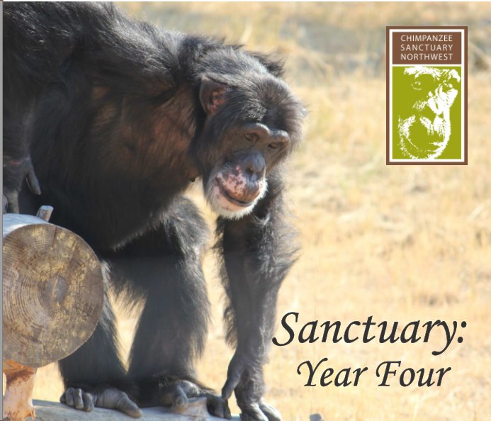 View Sanctuary: Year Four Softcover by Chimpanzee Sanctuary Northwest