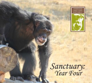 Sanctuary: Year Four Hardcover book cover