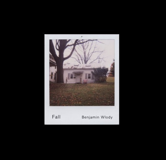 View Fall by Benjamin Wlody