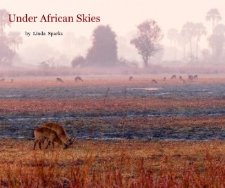 Under African Skies book cover