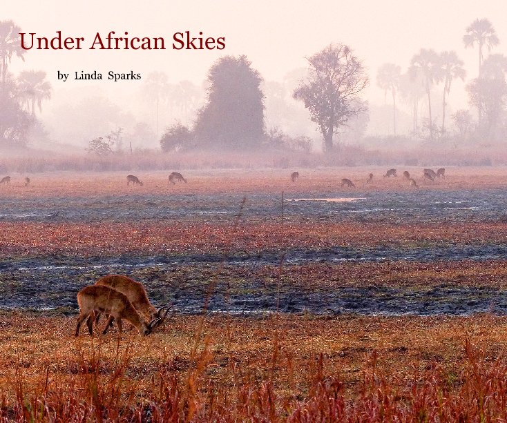 View Under African Skies by Linda Sparks