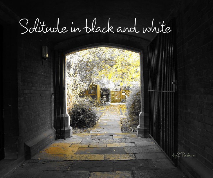 View Solitude in black and white by ELena Perelman