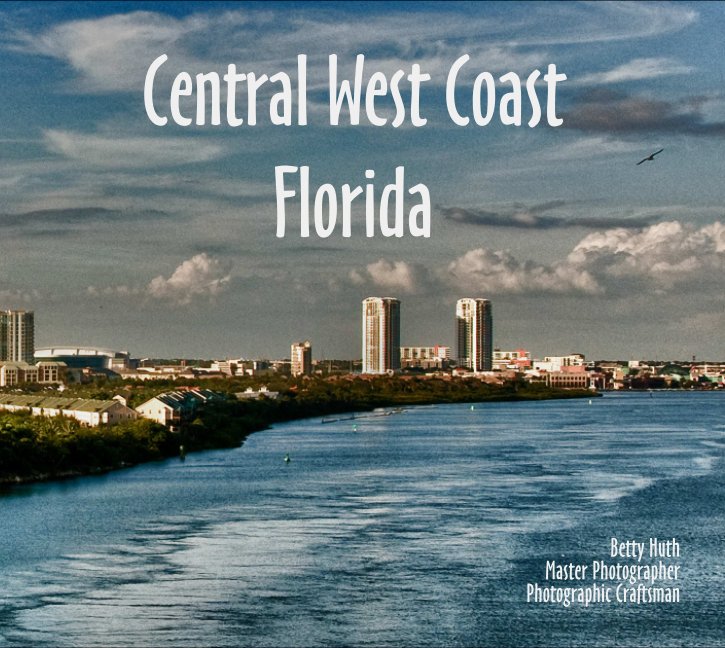 View Central West Coast Florida by Betty Huth