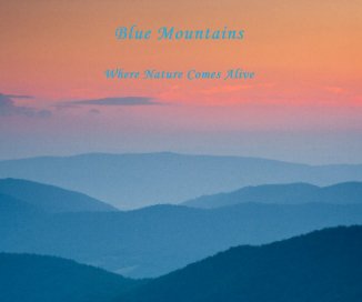 Blue Mountains book cover