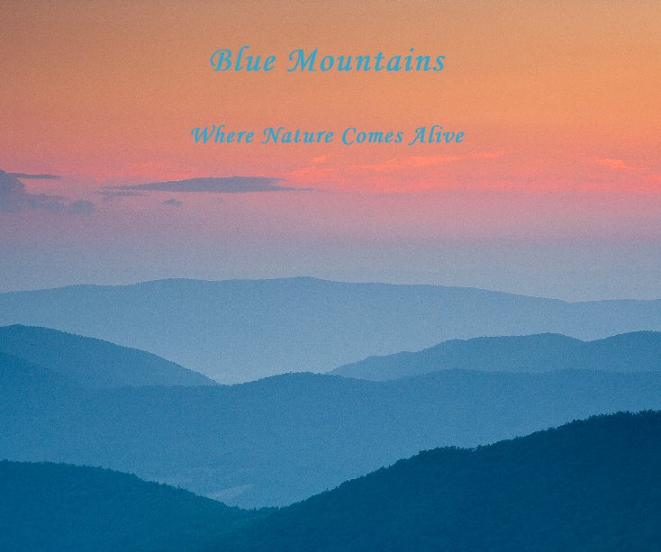 View Blue Mountains by Larry Patterson