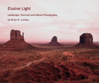 Elusive Light book cover
