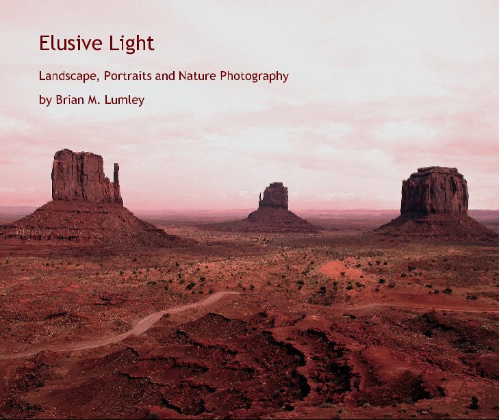 Bekijk Elusive Light op Brian M. Lumley