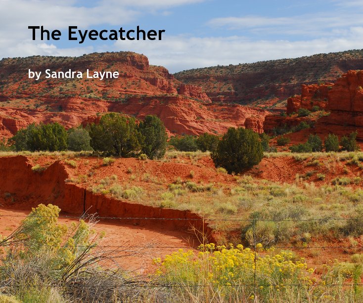 Ver The Eyecatcher por Sandra Layne