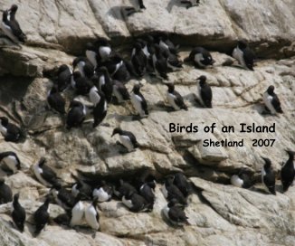 Birds of an Island book cover