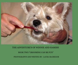 THE ADVENTURE'S OF WINNIE AND HAMISH book cover