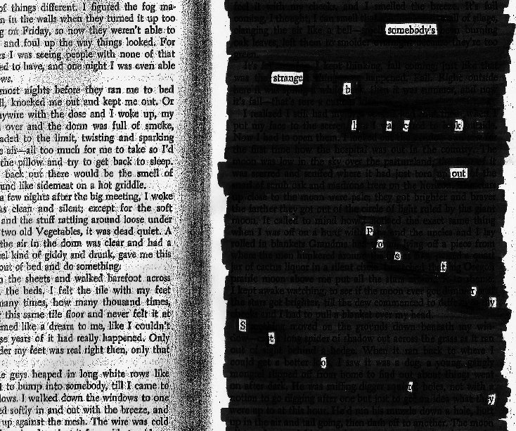 View Somebody's Strange Blackout Poetry Story by Jessie Roth