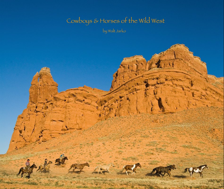 View Cowboys & Horses of the Wild West by Walt Jarko by Walt Jarko