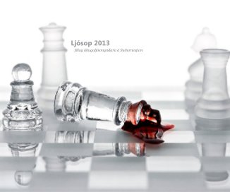 Ljósop 2013 book cover