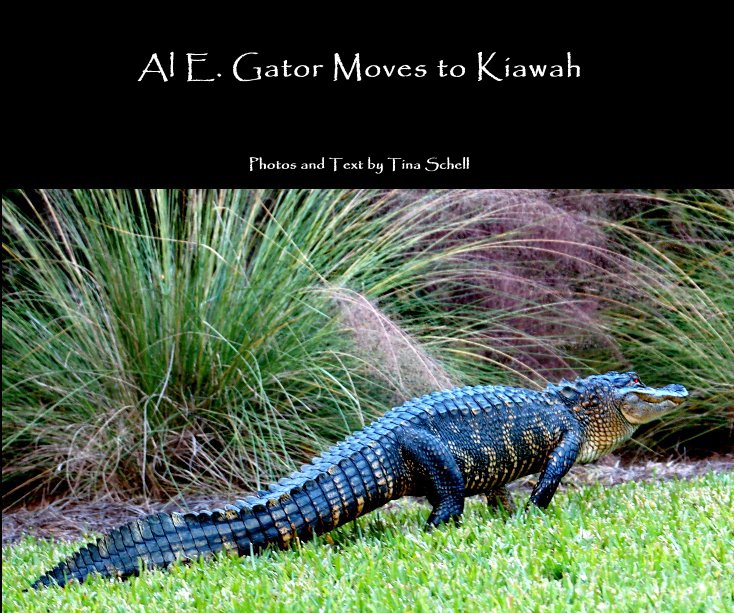 View Al E. Gator Moves to Kiawah by Photos and Text by Tina Schell
