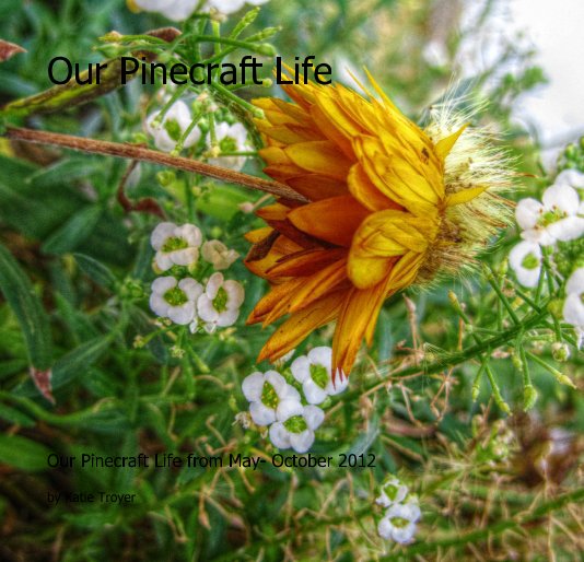 Ver Our Pinecraft Life por Katie Troyer