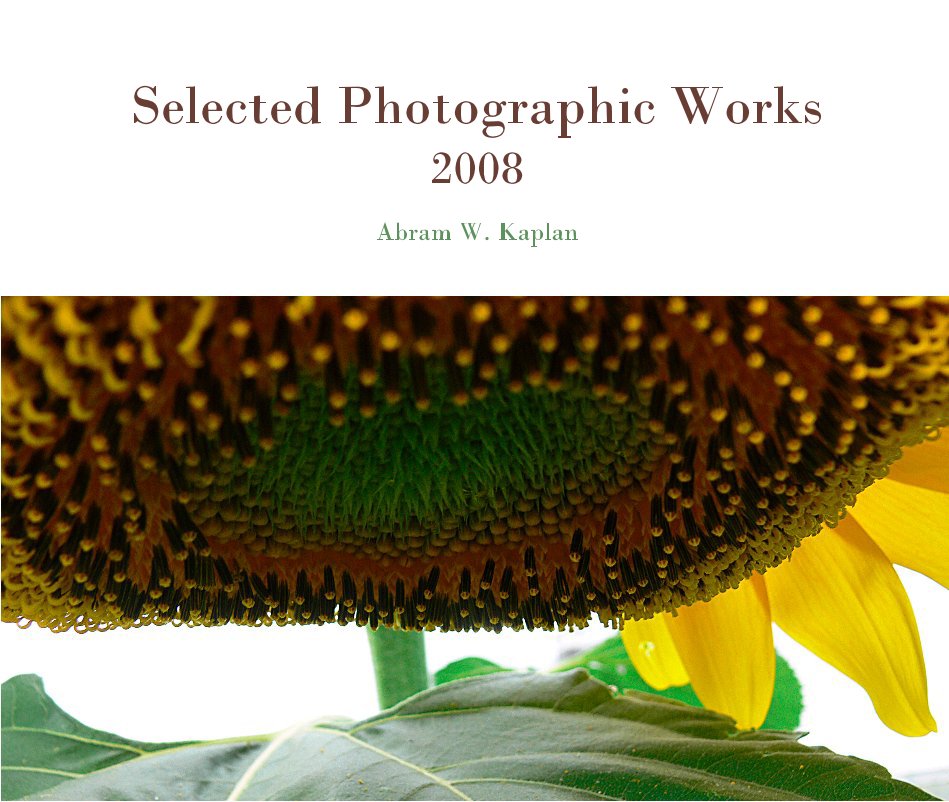 View Selected Photographic Works 2008 by Abram W. Kaplan