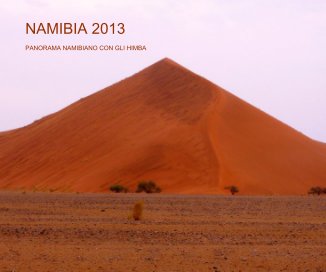 NAMIBIA 2013 book cover