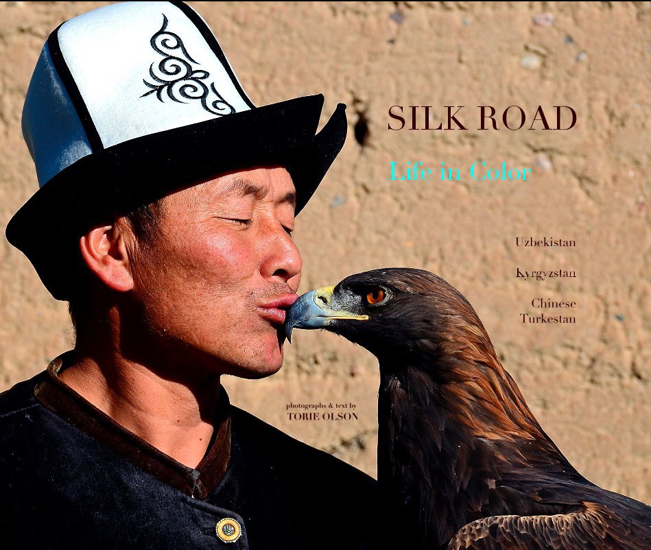 View The Silk Road by TORIE OLSON