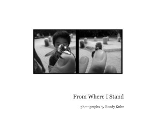 From Where I Stand book cover