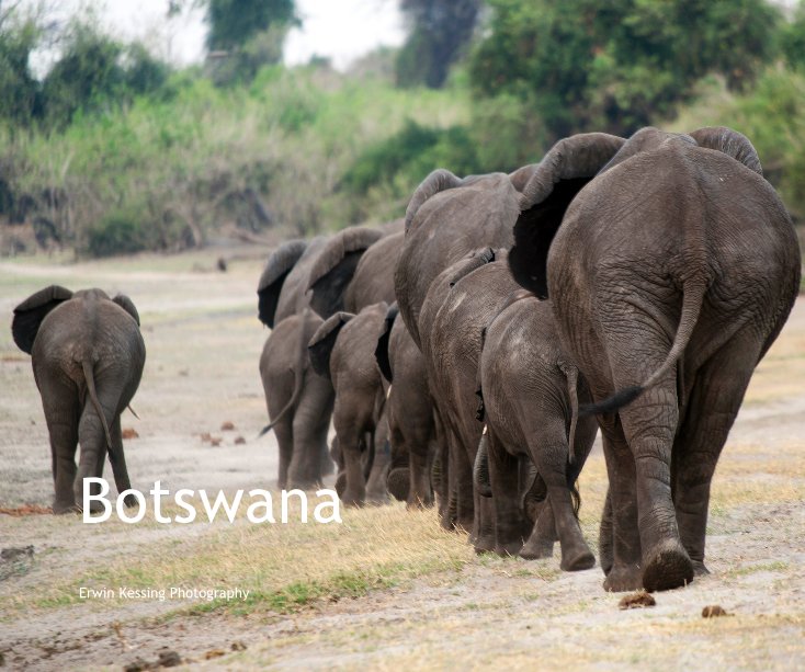 Visualizza Botswana di Erwin Kessing Photography