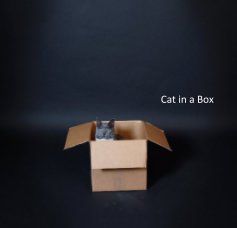 Cat in a Box book cover