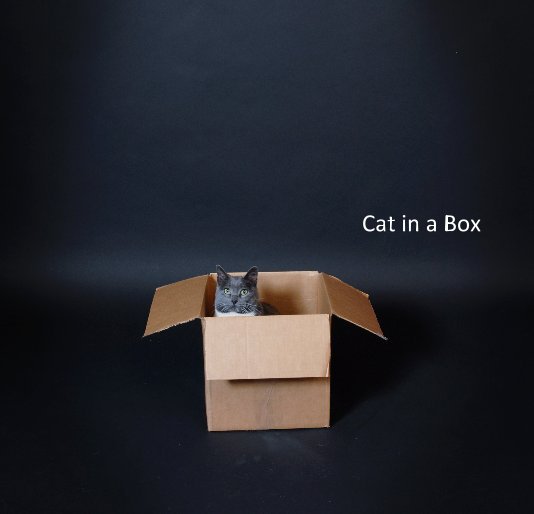 View Cat in a Box by Ashley Faison