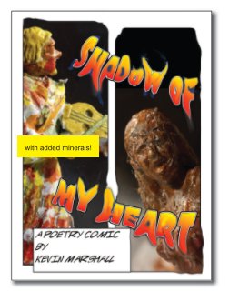 Shadow of My Heart book cover