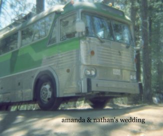 amanda & nathan's wedding book cover