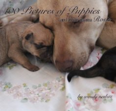 100 Pictures of Puppies book cover