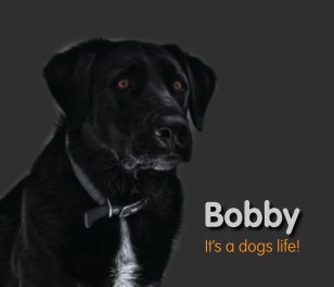 Bobbys Photo Book book cover