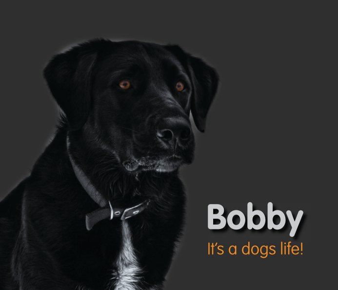 Ver Bobbys Photo Book por Mike Ellis