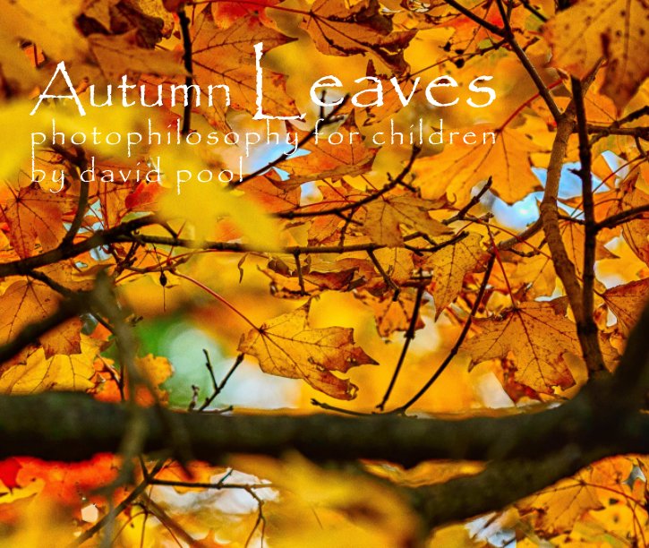 View Autumn Leaves by Dr. David Pool