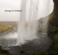 George in Iceland book cover