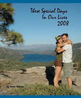 These Special Days In Our Lives 2008 book cover