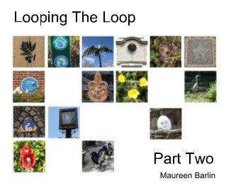 Looping The Loop book cover