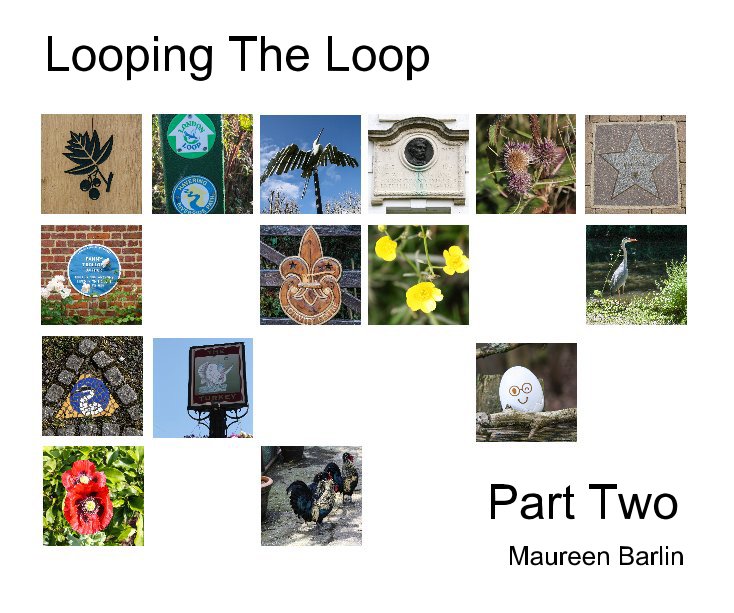 View Looping The Loop by Maureen Barlin