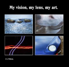 My vision, my lens, my art. book cover
