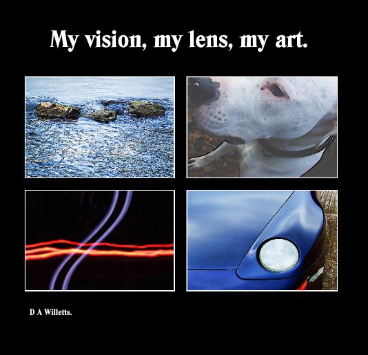 View My vision, my lens, my art. by D A Willetts.