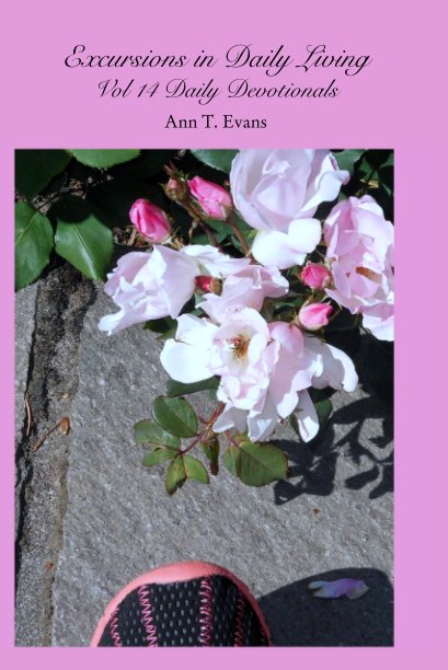 View Excursions in Daily Living Vol 14 Daily Devotionals by Ann T. Evans