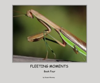 FLEETING MOMENTS book cover