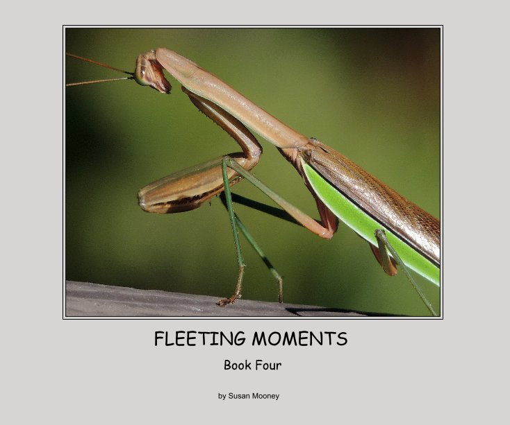 Ver FLEETING MOMENTS por Book Four