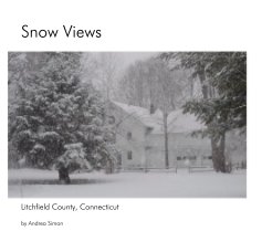 Snow Views book cover