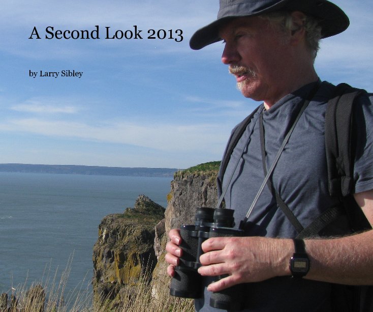 Bekijk A Second Look 2013 op Larry Sibley