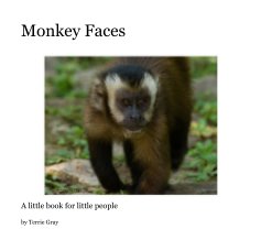 Monkey Faces book cover