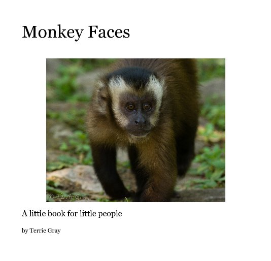 View Monkey Faces by Terrie Gray