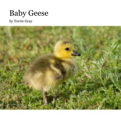 Baby Geese book cover
