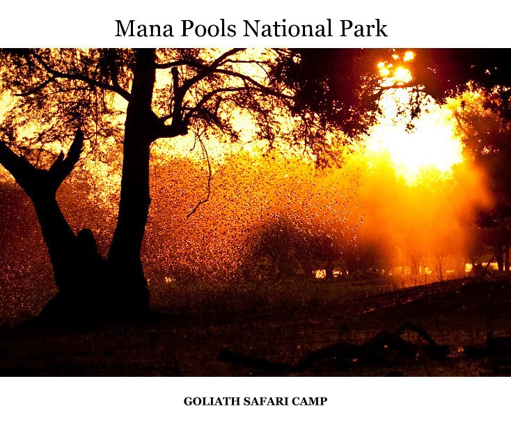View Mana Pools National Park by Kevin & Nicola Noyce