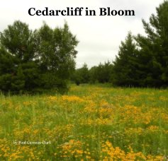 Cedarcliff in Bloom book cover