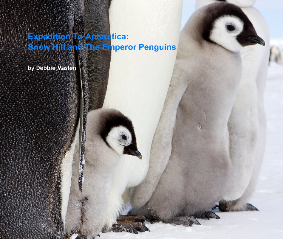 View Expedition To Antarctica: Snow Hill and The Emperor Penguins by Debbie Maslen